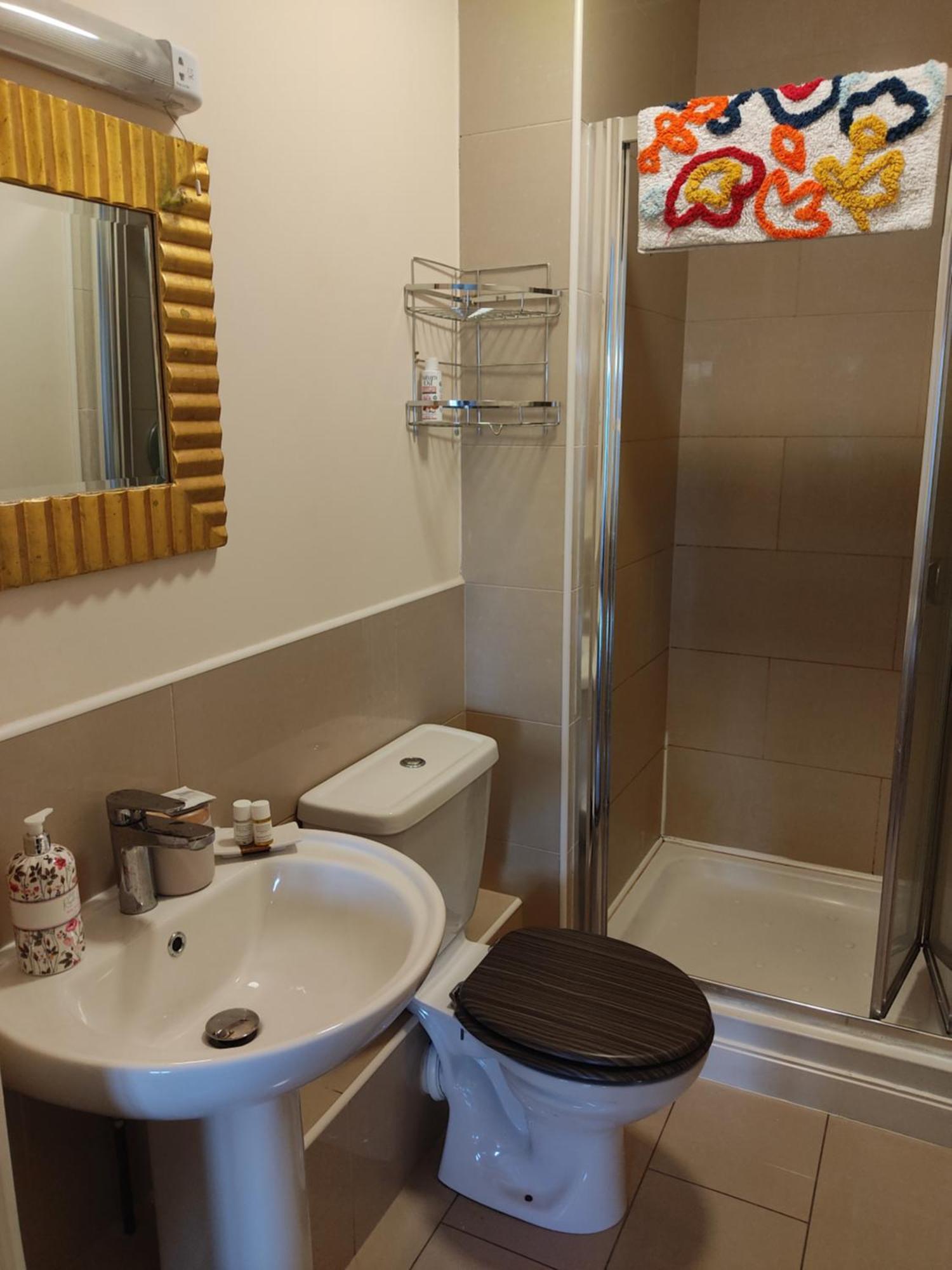 Swallows Nest - Spacious Bright Double Bedroom With Ensuite Bathroom Dublin Exterior foto